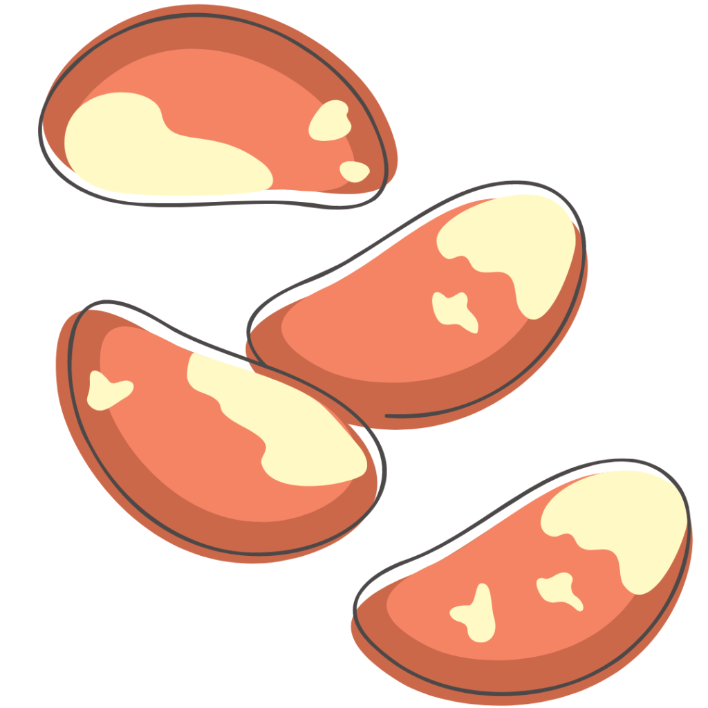 Brazilnut - Natural methods of conception